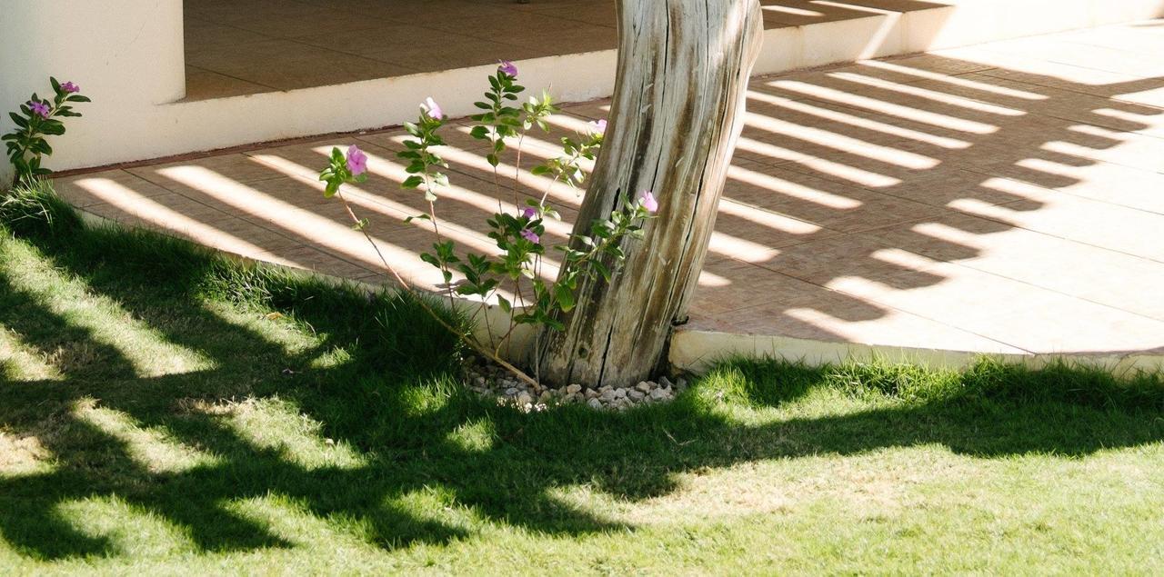Totobe Resort Jabilla Exterior photo